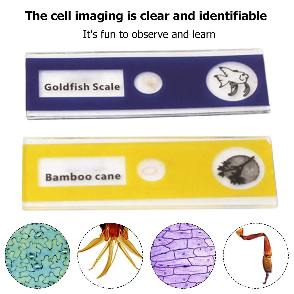 Portable HD Optical Microscope - 60-100x Magnification, LED, ABS, view 12