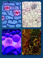 Portable HD Optical Microscope - 60-100x Magnification, LED, ABS, view 7