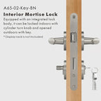 Signor Door Lock Handle-Welvere