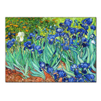 Sileo 1889 by Vincent van Gogh Livine Oakfield-Welvere