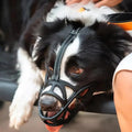 Soft, Breathable Dog Muzzle in Four Sizes
