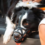Soft, Breathable Dog Muzzle in Four Sizes