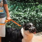 Soft, Breathable Dog Muzzle in Four Sizes