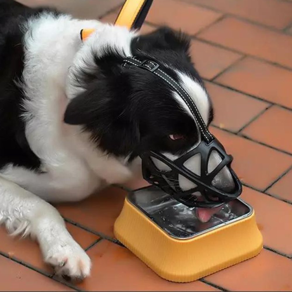 Soft, Breathable Dog Muzzle in Four Sizes
