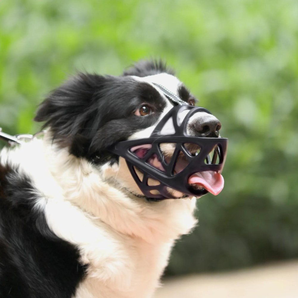Soft, Breathable Dog Muzzle in Four Sizes