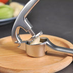 Stainless Steel Garlic Press with Cleaning Brush