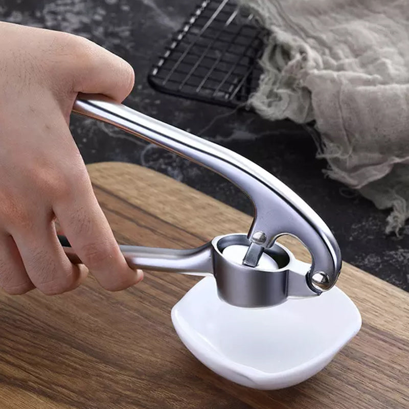 Stainless Steel Garlic Press with Cleaning Brush