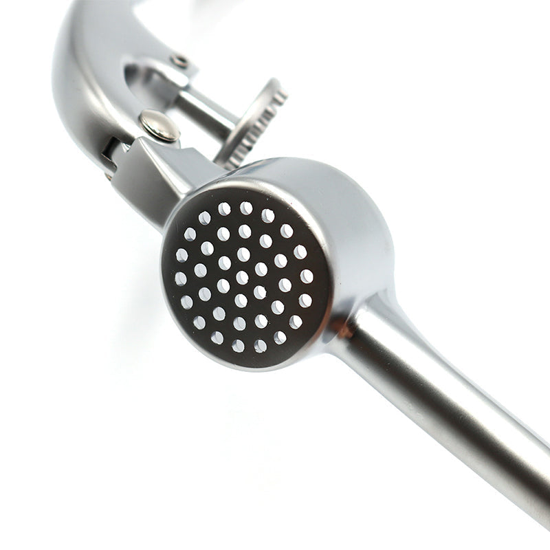 Stainless Steel Garlic Press with Cleaning Brush