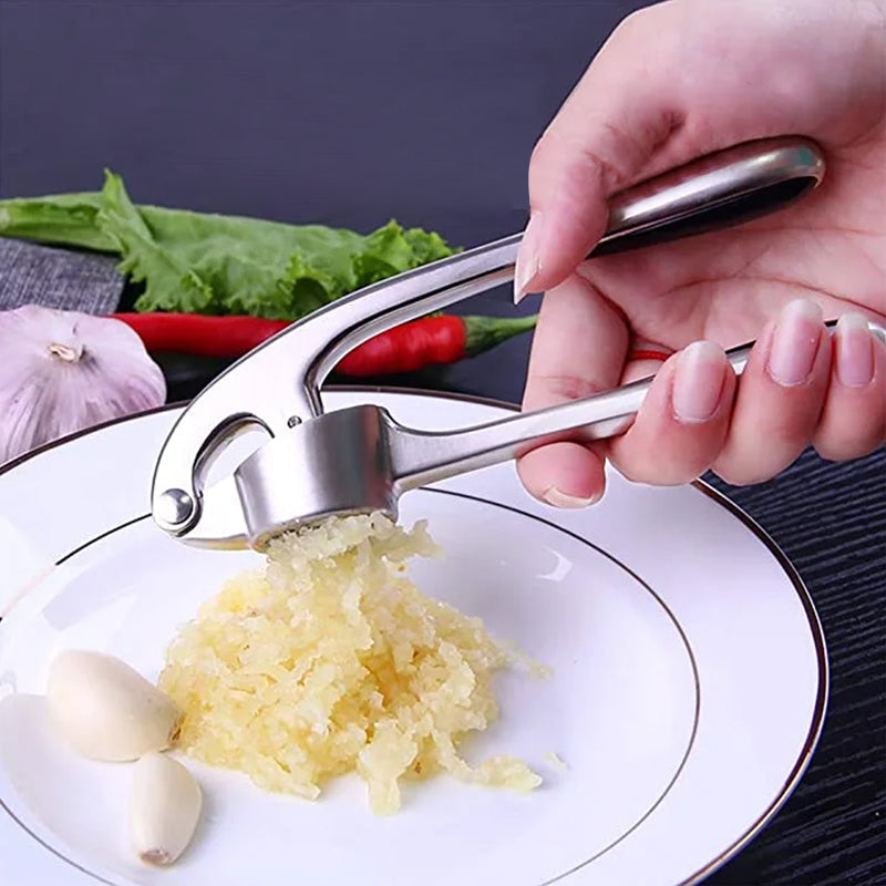 Stainless Steel Garlic Press with Cleaning Brush