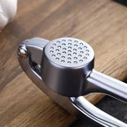 Stainless Steel Garlic Press with Cleaning Brush