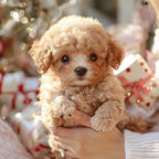 Interactive Plush Dog for Children & Seniors - Touch-Responsive, view 4