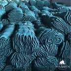 UV-Resistant Nylon Garden Net for Plant Protection, 2M x 5M to 4M x 10M