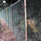 UV-Resistant Nylon Garden Net for Plant Protection, 2M x 5M to 4M x 10M