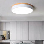Valehurst Ceiling Lamp-Welvere
