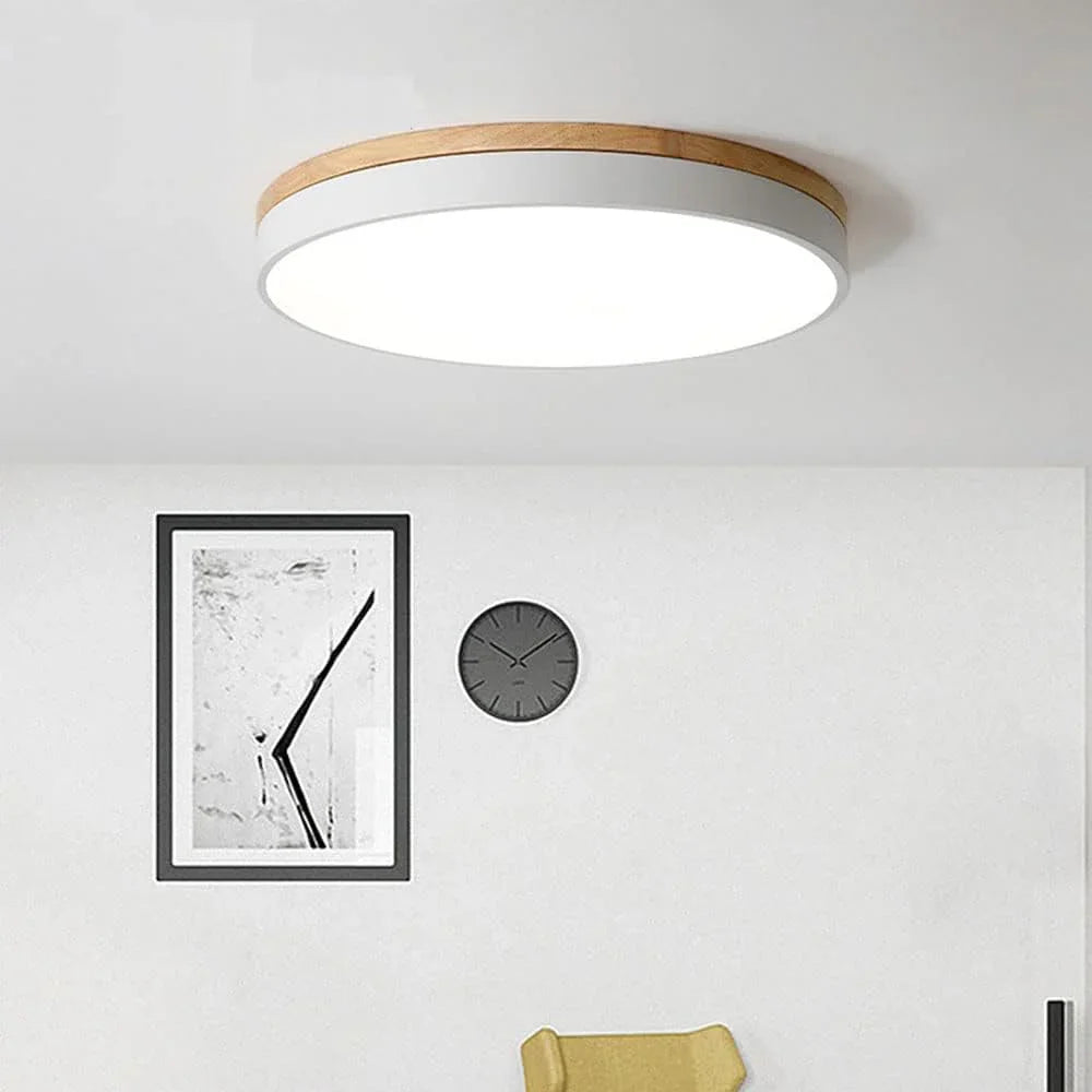 Valehurst Ceiling Lamp-Welvere
