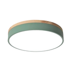 Valehurst Ceiling Lamp-Welvere