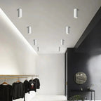 Vinine White LED Surface Mounted Downlight-Welvere