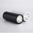 Vinine White LED Surface Mounted Downlight-Welvere