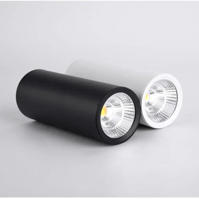 Vinine White LED Surface Mounted Downlight-Welvere