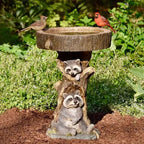 Vintage Garden Bird Bath, Polyresin Raccoon Design