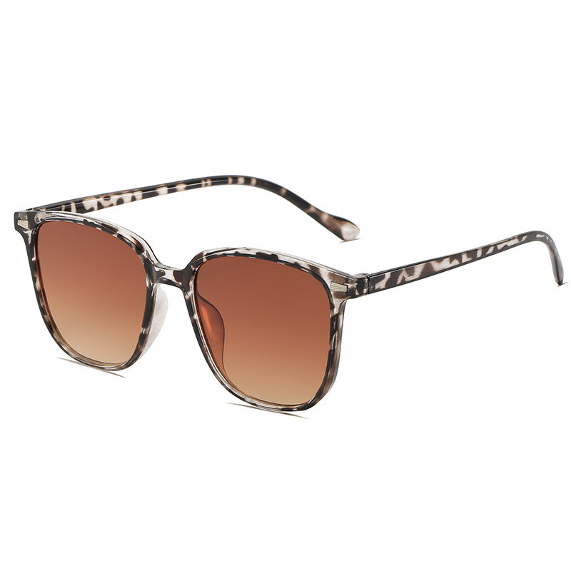 Wide Frame Plastic Glasses