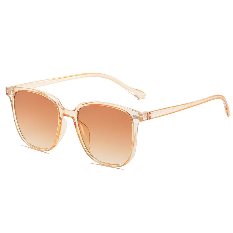 Wide Frame Plastic Glasses