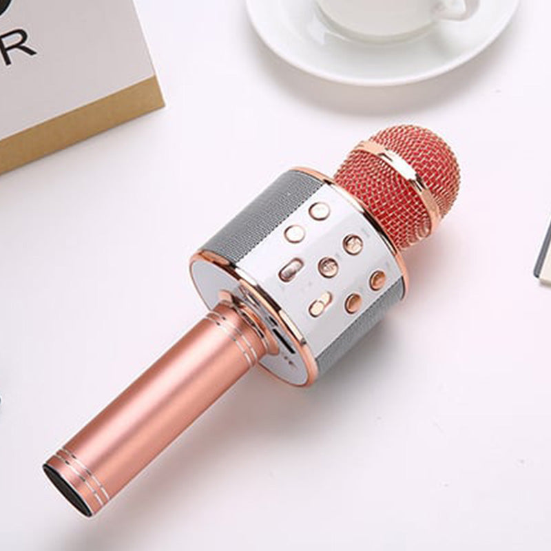 Wireless Karaoke Microphone with Bluetooth and 5-Watt Speaker
