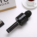 Wireless Karaoke Microphone with Bluetooth and 5-Watt Speaker