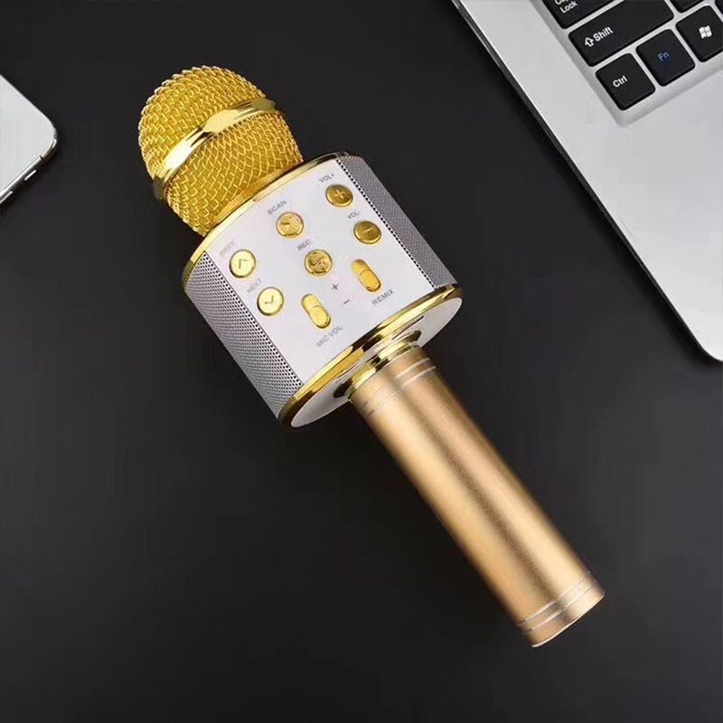 Wireless Karaoke Microphone with Bluetooth and 5-Watt Speaker