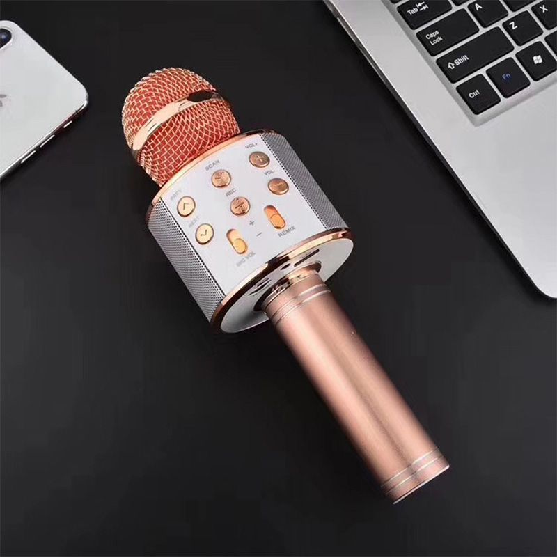Wireless Karaoke Microphone with Bluetooth and 5-Watt Speaker