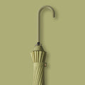 Ladies Elegant Wind-Resistant Umbrella for Women - Automatic Opening, view 4